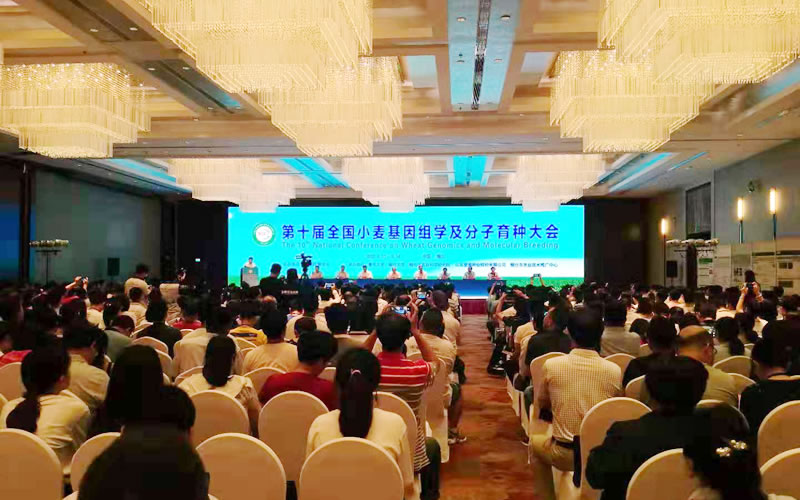 图3190815.jpg
