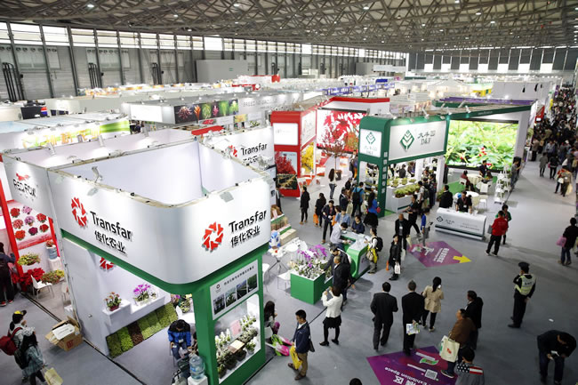 第十九届中国国际花卉园艺展览会1.jpg 第十九届中国国际花卉园艺展览会1.jpg