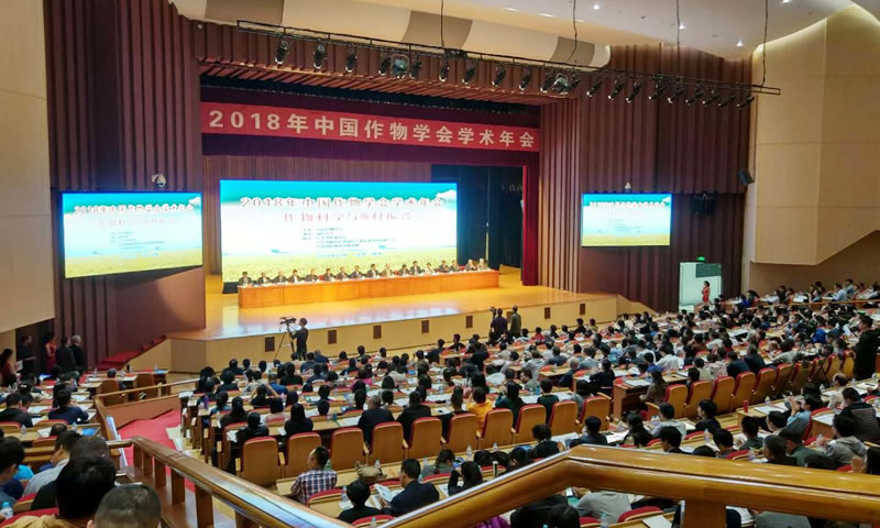 会议现场.jpg 会议现场.jpg