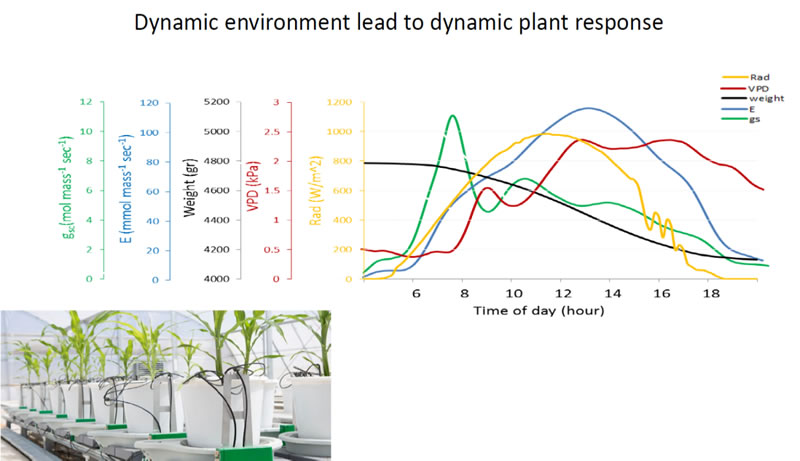 Plantarray可连续监测温室中生长植物的生理指标日变化.jpg