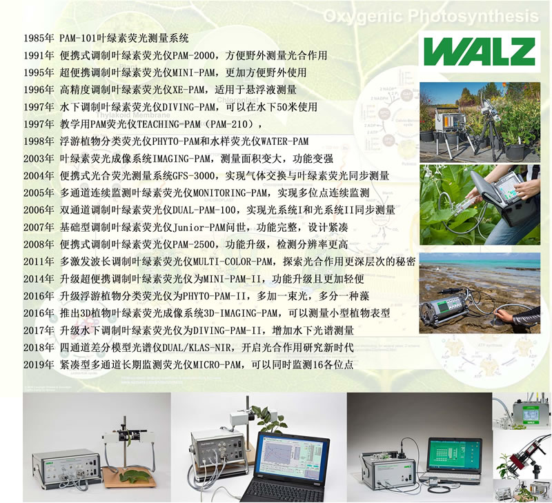 WALZ设备上市时间线.jpg