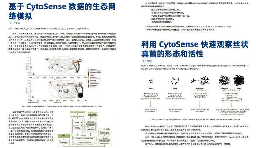 泽泉快讯130104.jpg