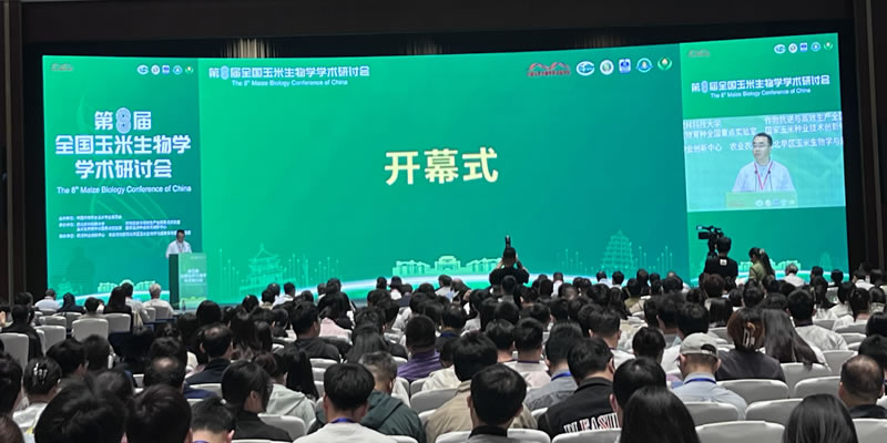 图125050901.jpg