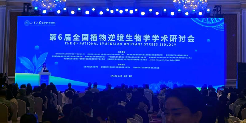 图125053002.jpg