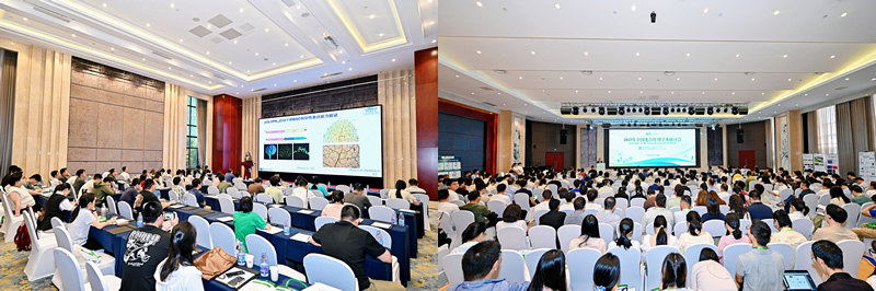 图225060502.jpg