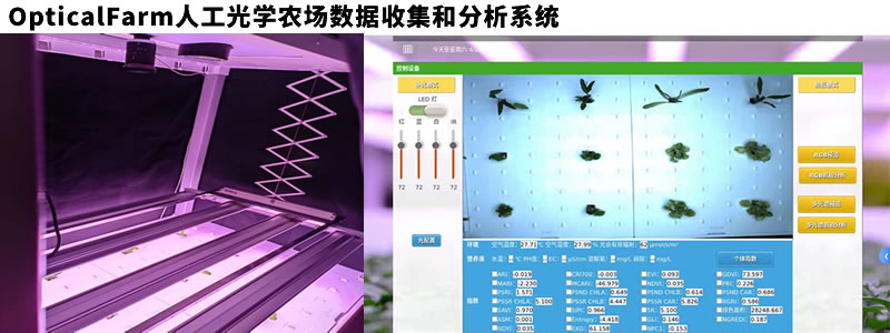 图725052001.jpg