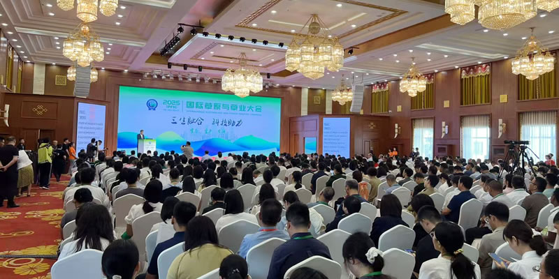 图125072501.jpg