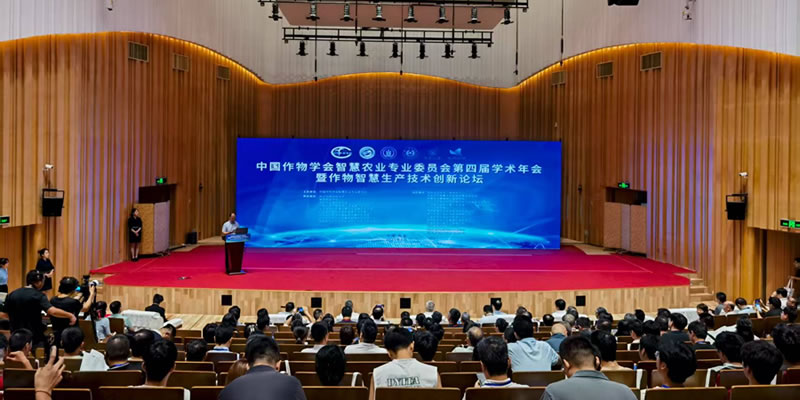 图125081101.jpg