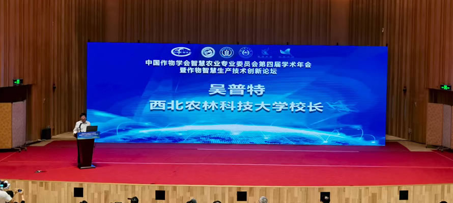 图125081102.jpg
