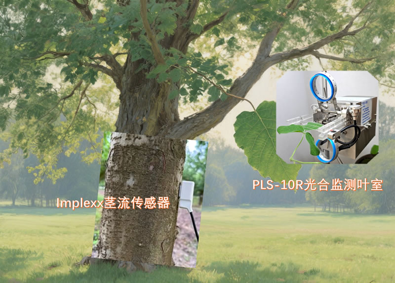 图225082811.jpg