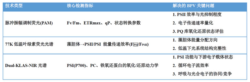 表125090301.jpg