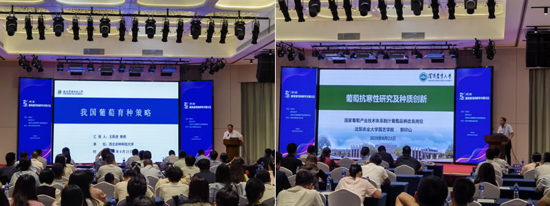 图325090801.jpg