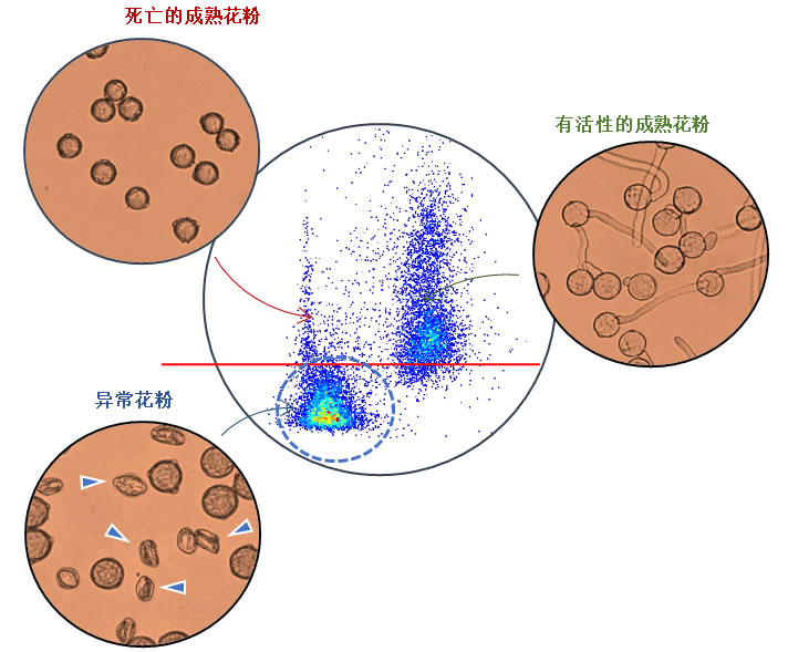 图725063001.jpg