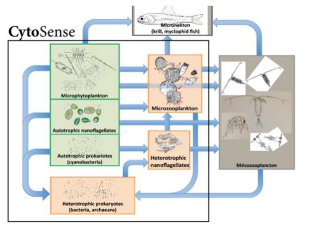图片18.png 图片18.png