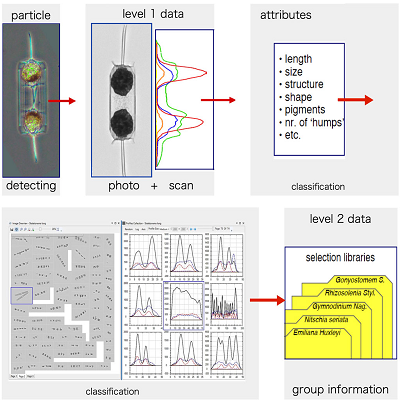 图片19.png 图片19.png