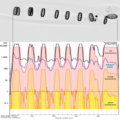 图片20.png 图片20.png