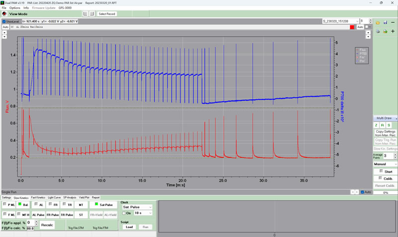 DUALPAM10005.jpg DUALPAM10005.jpg