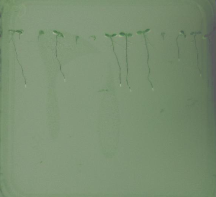 图片5.png 图片5.png