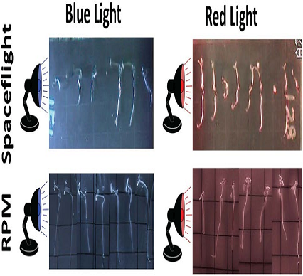 图片6.png 图片6.png