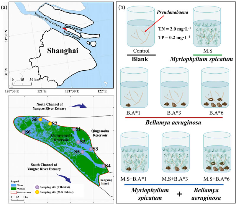 图126010601.jpg 图126010601.jpg