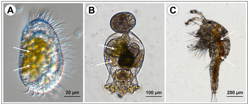 图326010601.jpg 图326010601.jpg