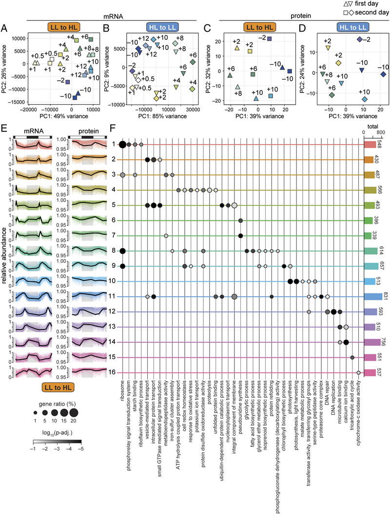 图326011901.jpg 图326011901.jpg