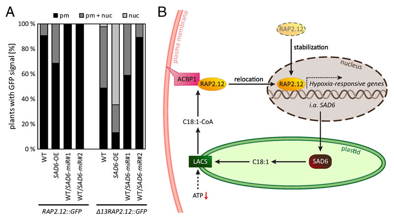 图126011901.jpg 图126011901.jpg