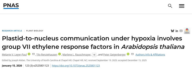 图026011901.jpg 图026011901.jpg