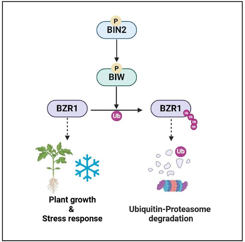 图2226012801.jpg 图2226012801.jpg