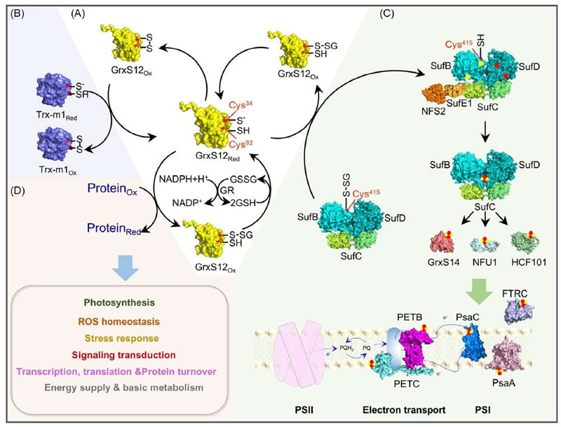 图2126012801.jpg 图2126012801.jpg