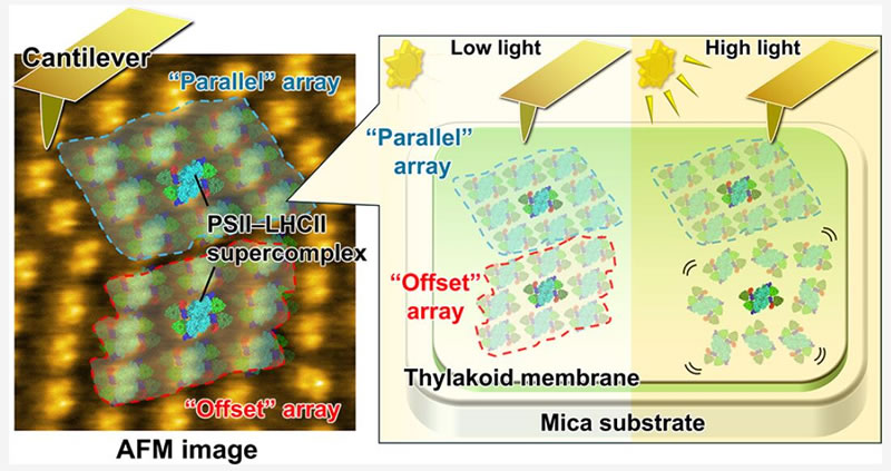 图1926012801.jpg 图1926012801.jpg