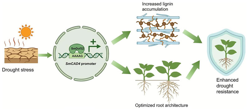 图1826012801.jpg 图1826012801.jpg
