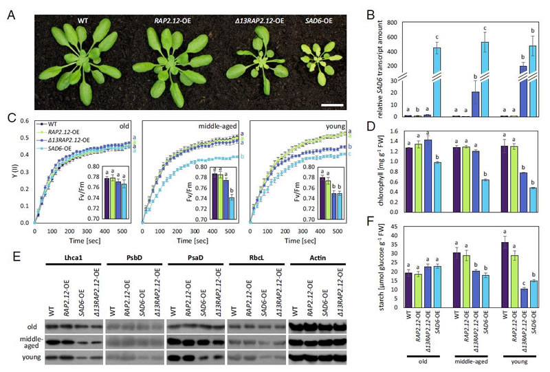 图1726012801.jpg 图1726012801.jpg