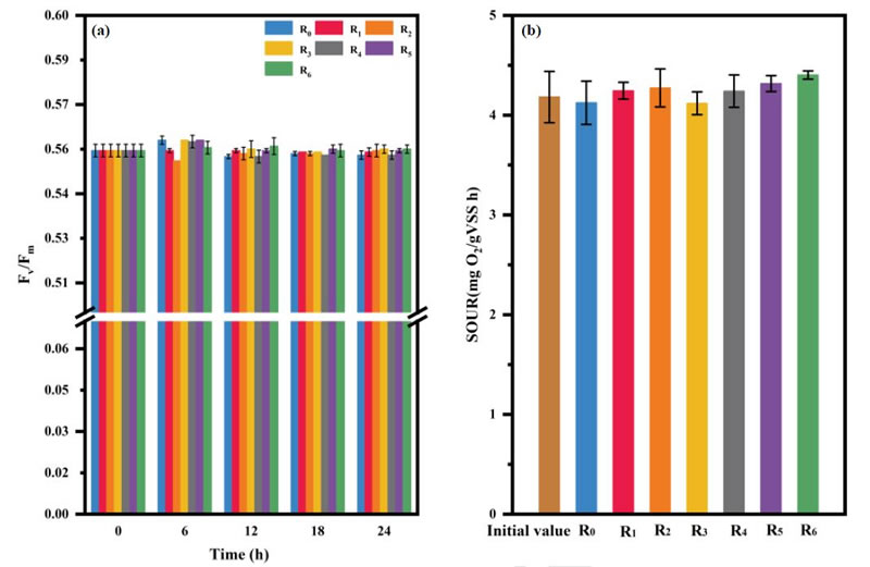 图1526012801.jpg 图1526012801.jpg