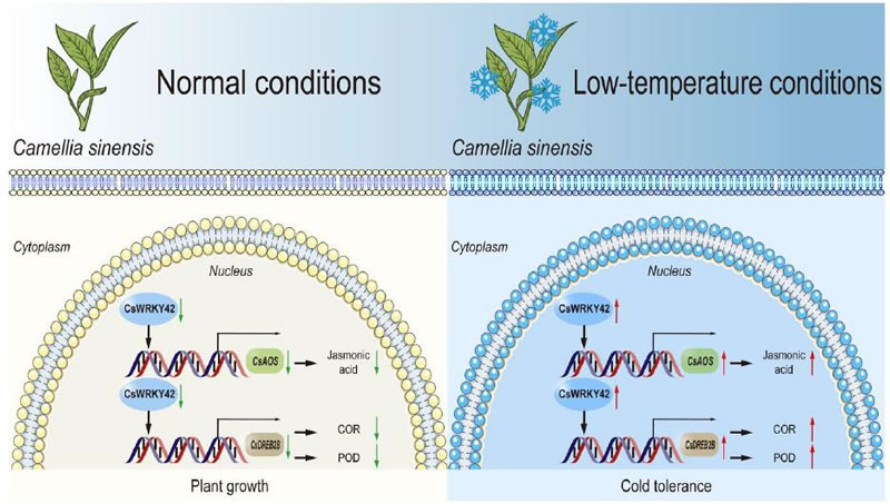 图1426012801.jpg 图1426012801.jpg