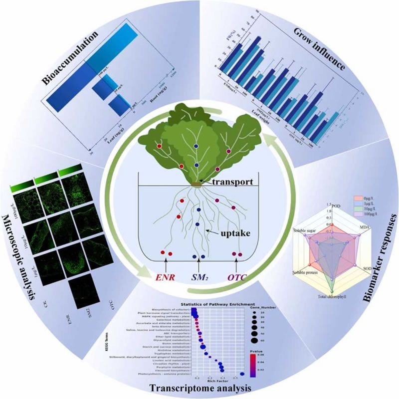 图1326012801.jpg 图1326012801.jpg