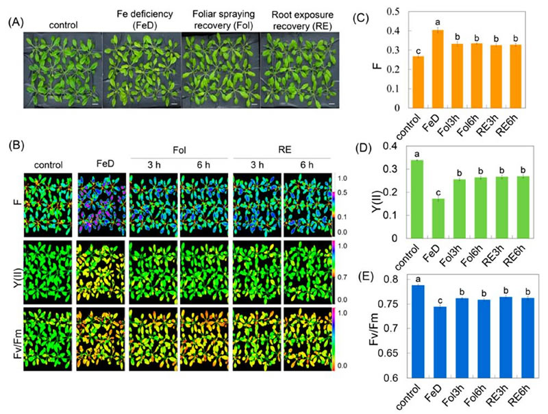 图1226012801.jpg 图1226012801.jpg