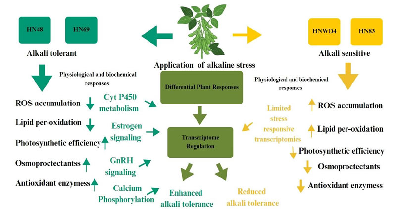 图1126012801.jpg 图1126012801.jpg