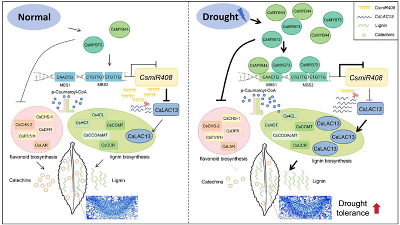图1026012801.jpg 图1026012801.jpg