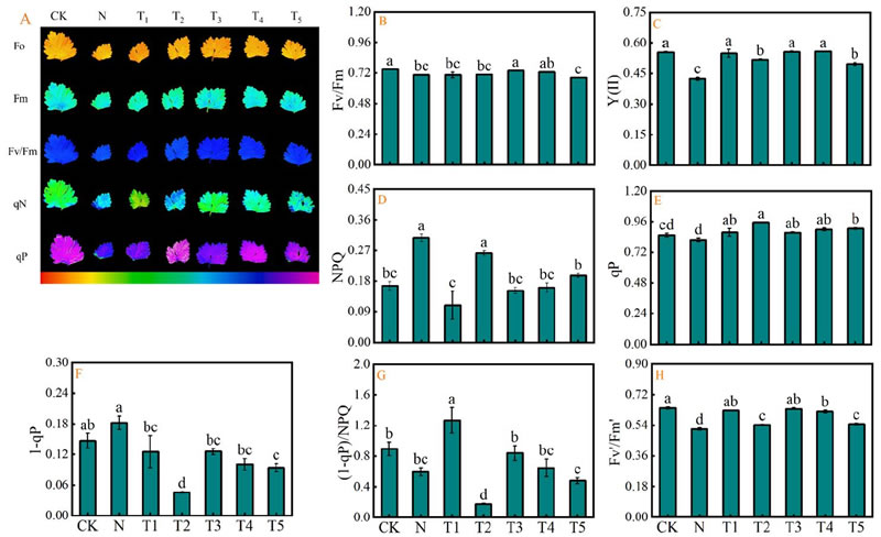 图926012801.jpg 图926012801.jpg