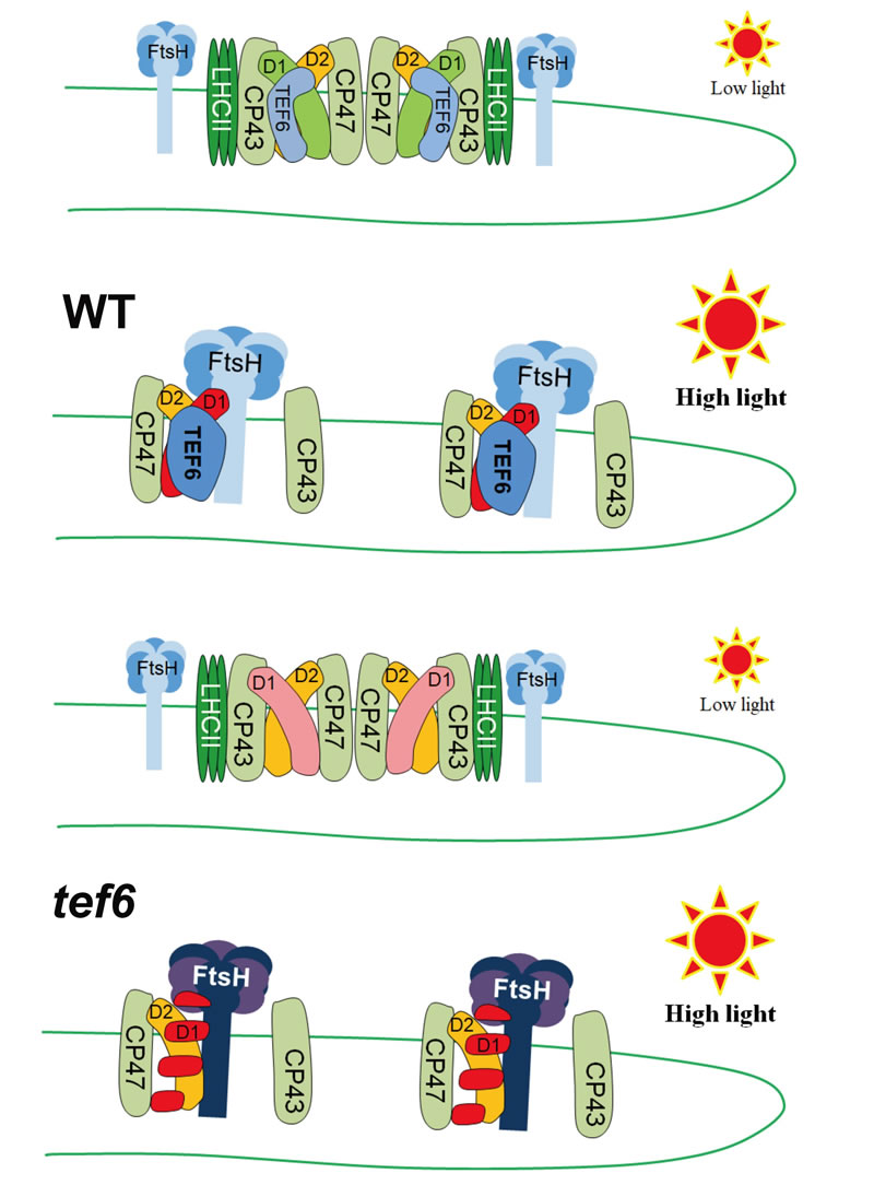 图826012801.jpg 图826012801.jpg
