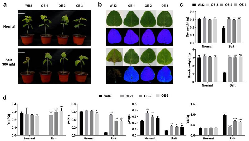图726012801.jpg 图726012801.jpg