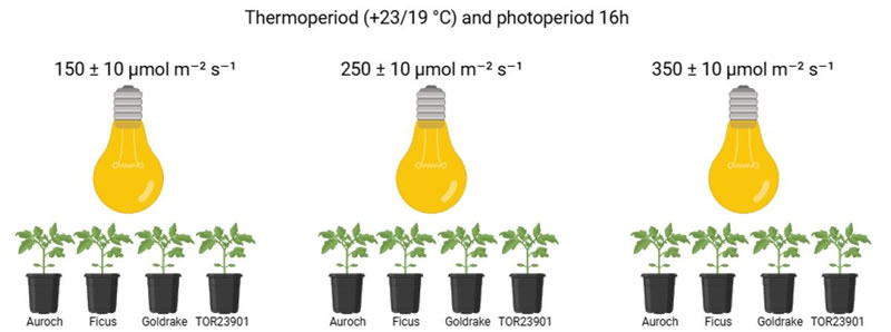 图626012801.jpg 图626012801.jpg