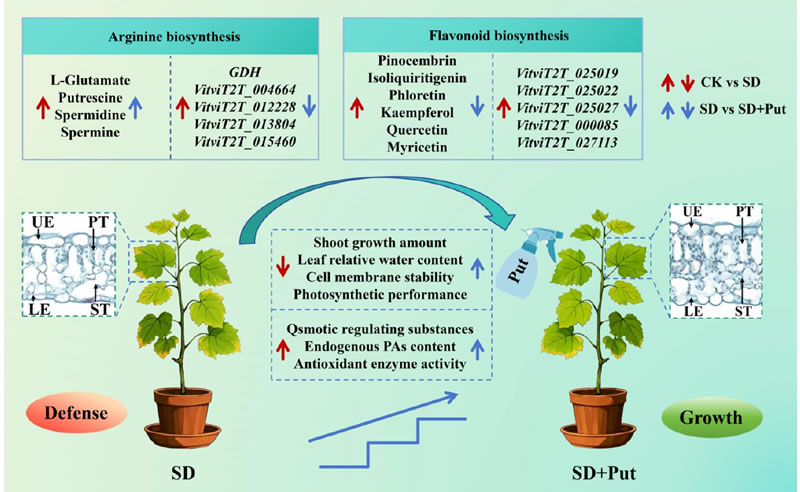 图526012801.jpg 图526012801.jpg