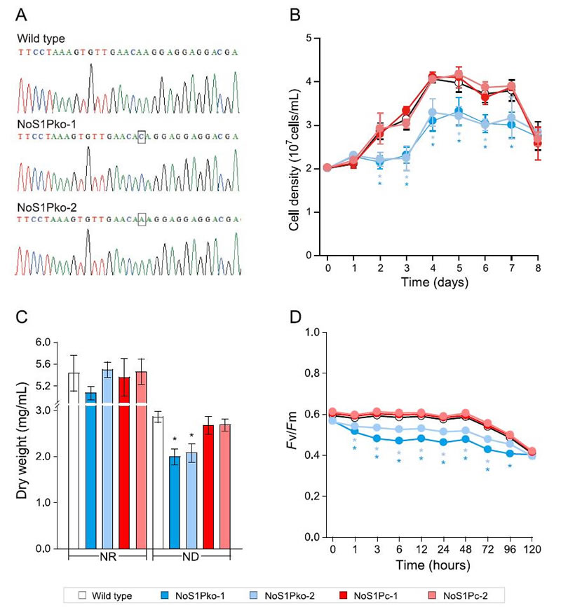 图426012801.jpg 图426012801.jpg
