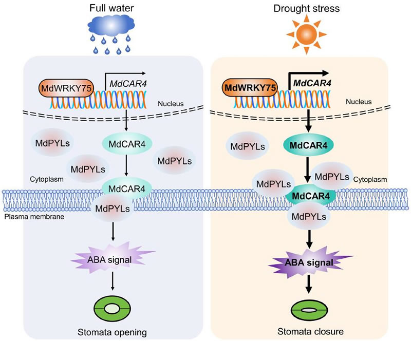 图326012801.jpg 图326012801.jpg
