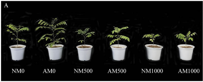 图126012801.jpg 图126012801.jpg