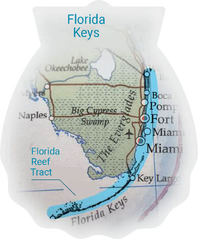 图126030301.jpg 图126030301.jpg