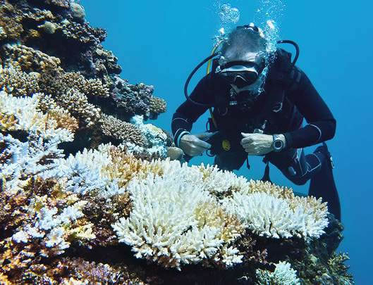 图226030301.jpg 图226030301.jpg