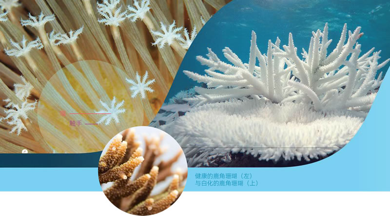 图326030301.jpg 图326030301.jpg